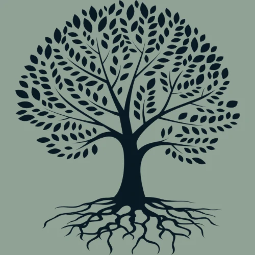Dyflora Logo