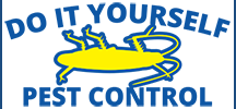 E Bug Logo
