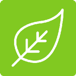 E Netze Logo