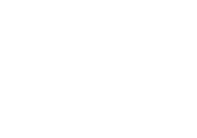 eccelerate GmbH | E-Commerce Consulting Logo
