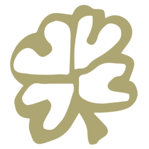 Echt Ierland vakanties Logo