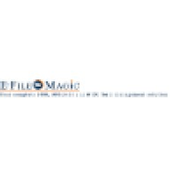 E-File Magic Logo