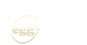 modico GmbH & Co KG Logo