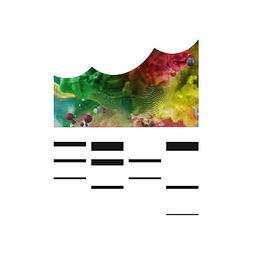 Elbphilharmonie Hamburg Logo