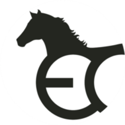 Equeen Logo