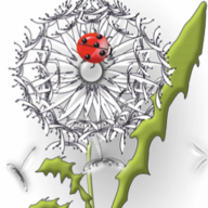 Zuchold Sabine Ergotherapie Logo
