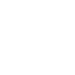 Holenstein Thomas Ergotherapiepraxis Logo