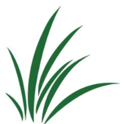 Ergowiese - Privatpraxis für Ergotherapie, Handrehabilitation und Robotik Logo