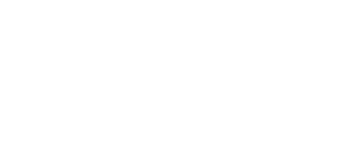 GFE-Gesellsch. zur Förderung der Erlebnispädagogik e.V. Logo