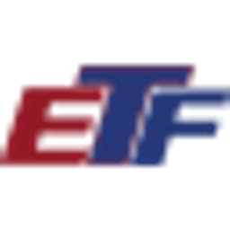 Elektrotechnik Fischmann T. Logo