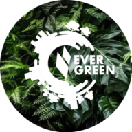 Evergreen Energiesysteme Mitte GmbH Logo