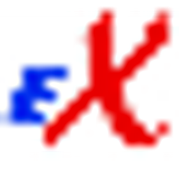 Express Trainers Logo