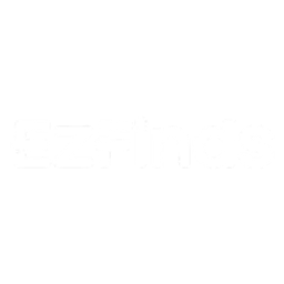 Ezfindsss Logo
