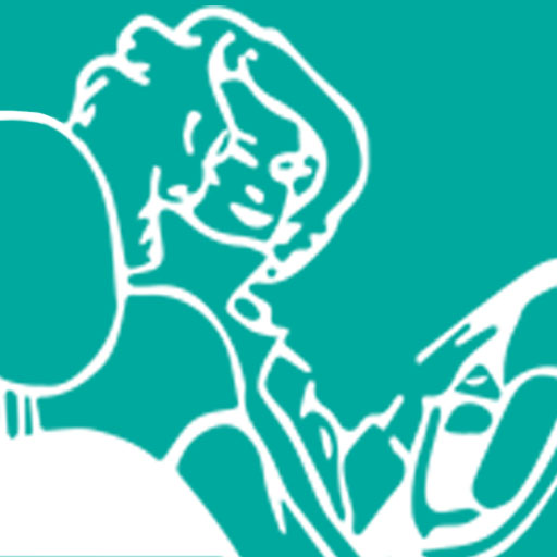 Fahrschule Bornschein Logo