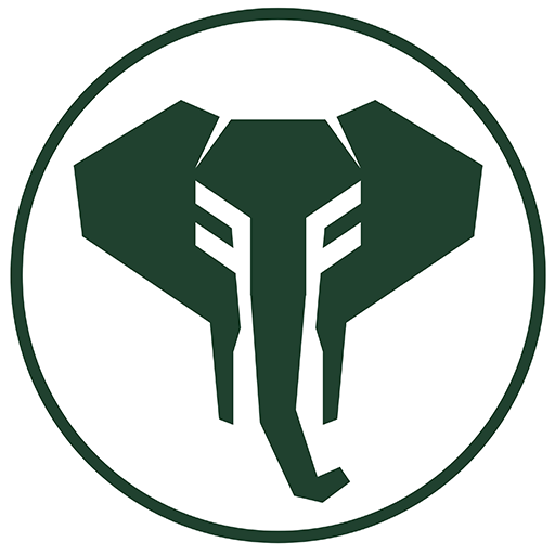 Fairforce Logo