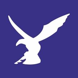 Falcon Technology Logo