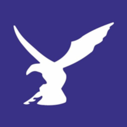 Falcontechnology Logo