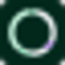 Fasting Plan Logo