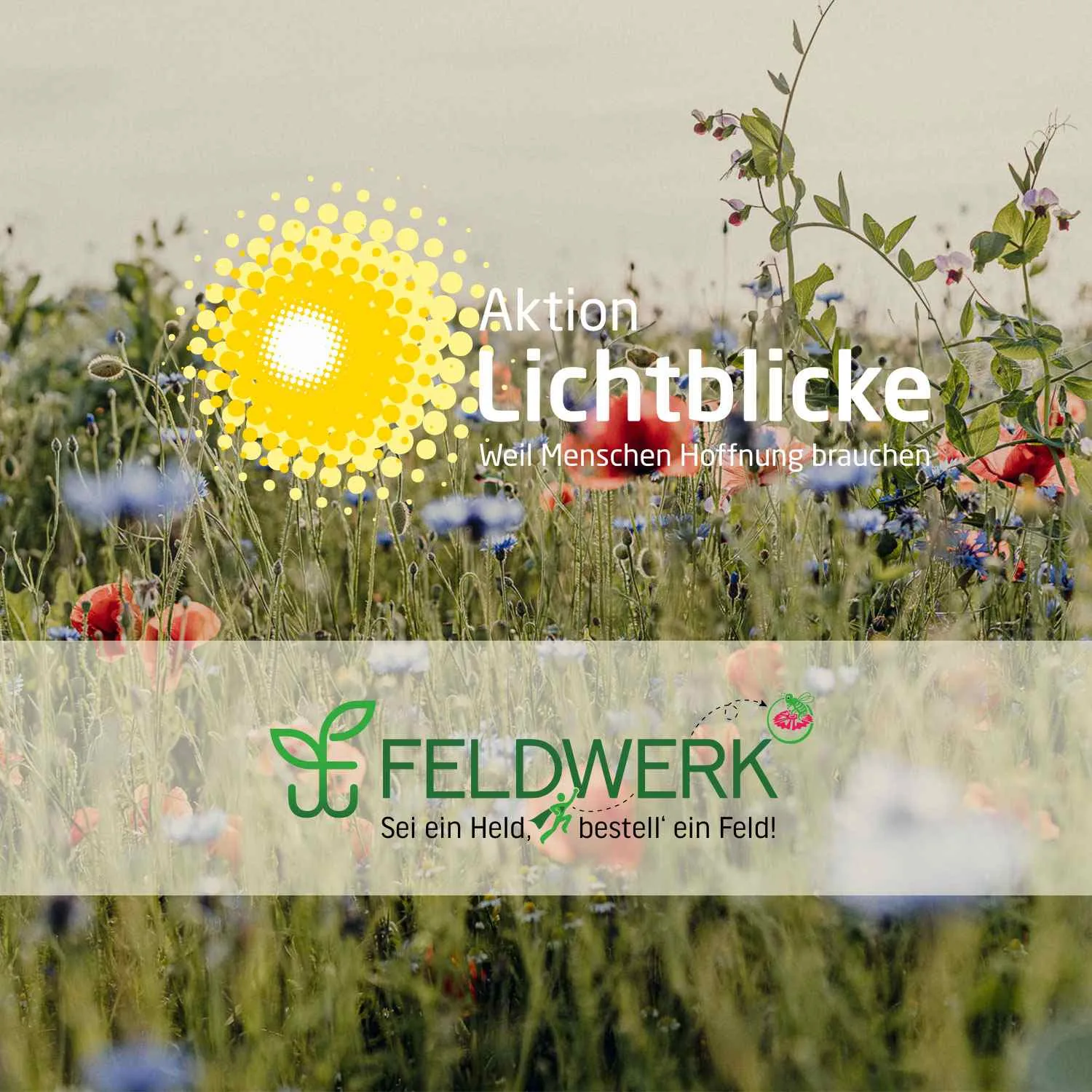 Feldwerk GmbH Logo
