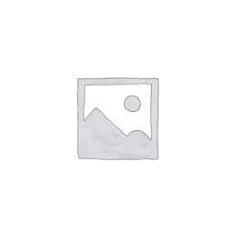 Nicolini srl Logo