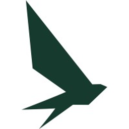 Finsurancy Logo