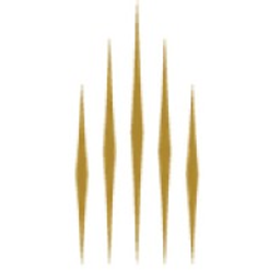 Five Star Alliance Logo