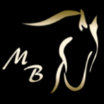 Flaschsberg-Ranch Westernreiten Pferdepension, Bächle Markus & Miriam Logo