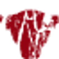 Dülfer & Sohn Fleischerei und Partyservice Logo