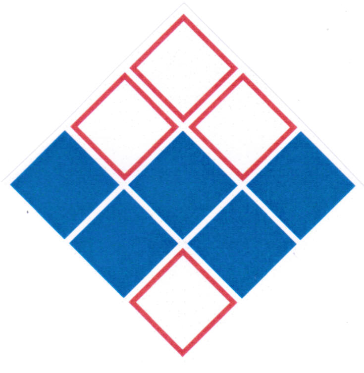 Fliesen Witzig GmbH & Co. KG Logo