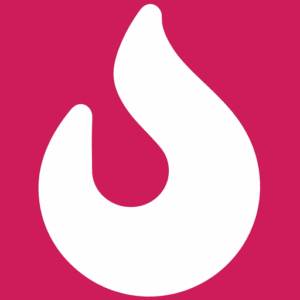 Flirtr Logo