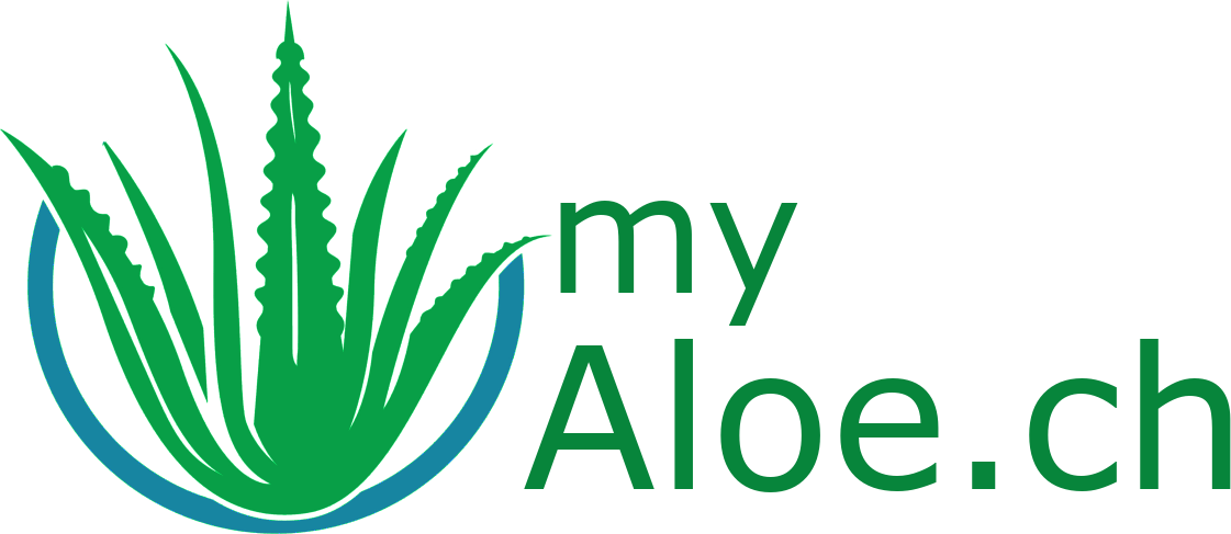 Flp24 Logo