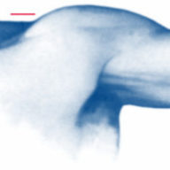 Therapiezentrum für Physio- und Ergotherapie Foppen-Schepers Logo