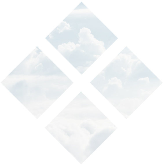 Fortuna Logo