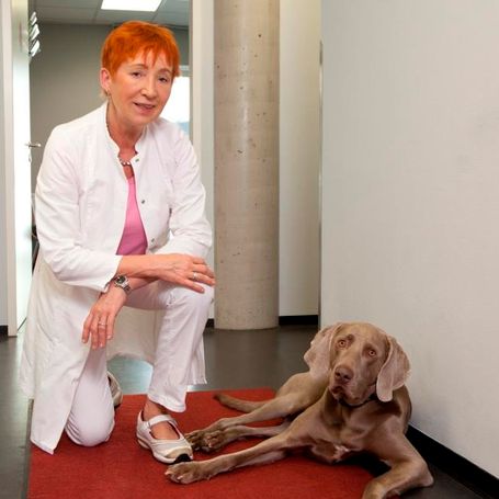 Frauenarztpraxis Uta Wenzel Dr. med. Logo