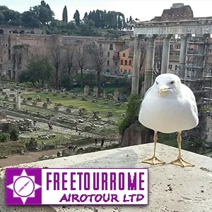 FreetourRome Logo