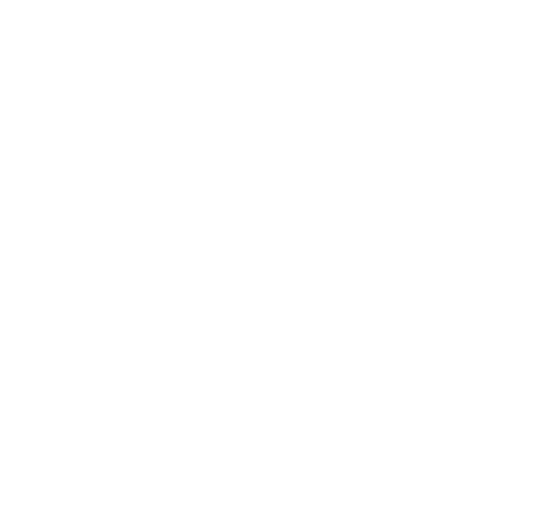 Friderichs Klemens Weingut Logo