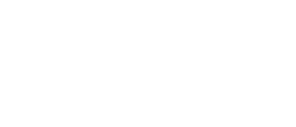 Fridolins GmbH Spielzeug Groß- und Einzelhandel Logo