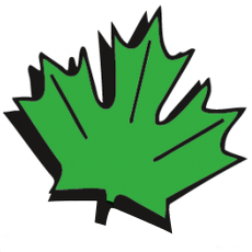 Motorland Friedmann Logo