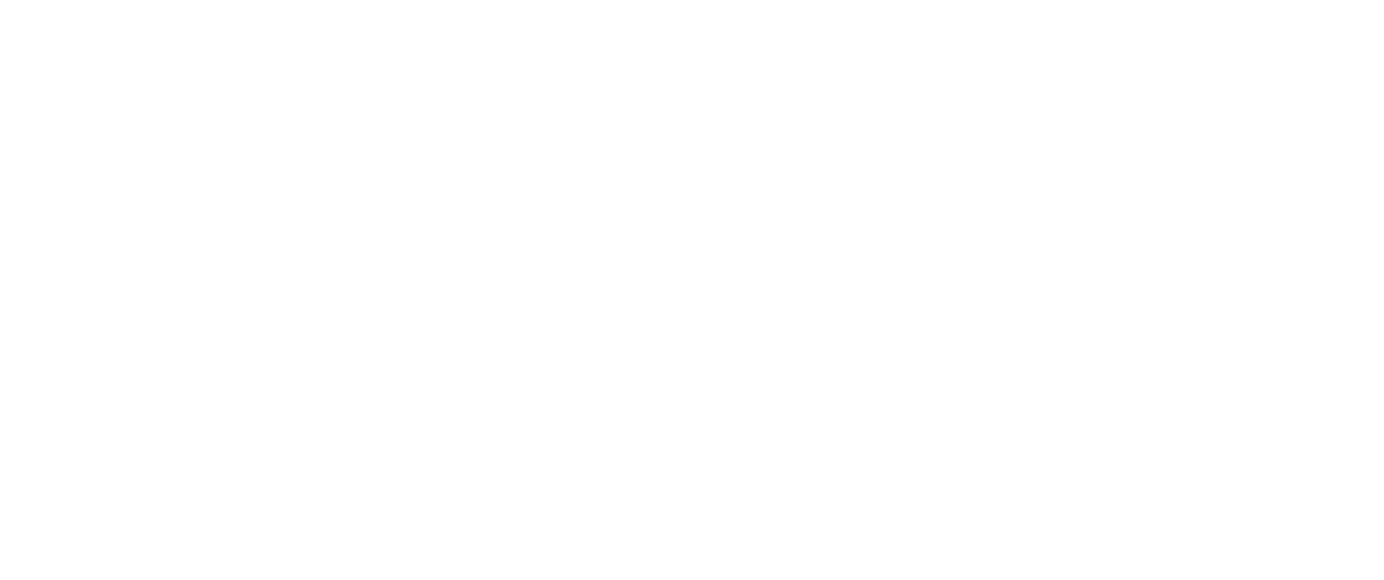 Liggesmeyer Friseur Logo