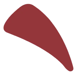 Südpfalz e.V., Fallschirm-Sport-Centrum Cockpit Logo