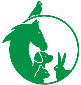 MTG FLEIGE GMBH Logo