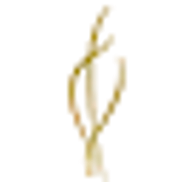 Mölders Friedhofsgärtnerei Logo