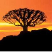 Behrens Hans-Werner u. Katrin, Gästefarm Afrika Logo