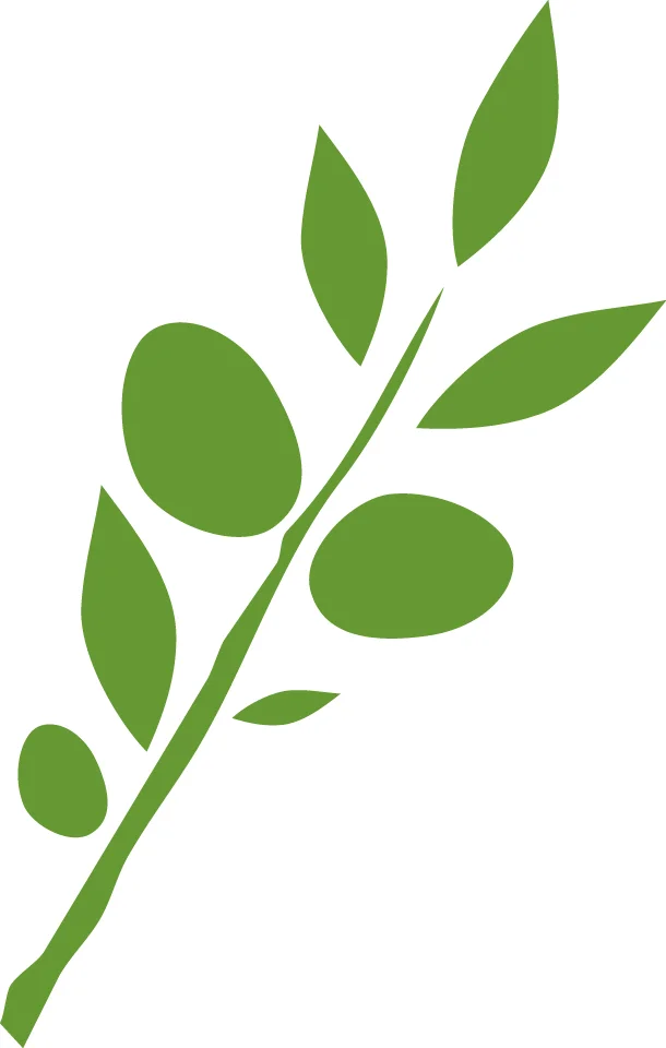 Zeus Logo