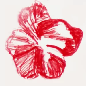 Garego Logo