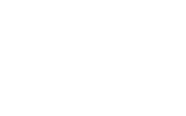 Weber Wolfgang Logo