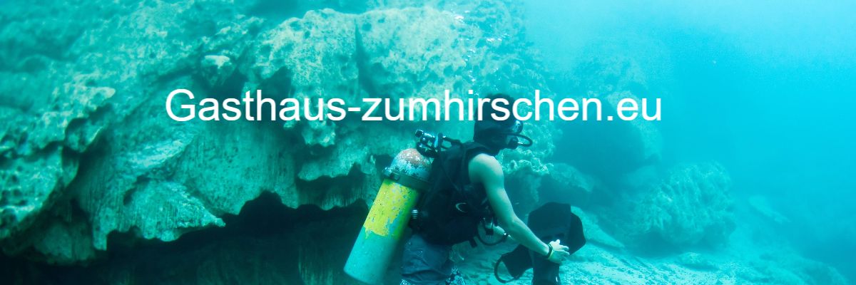 Gasthaus zum Hirschen Logo
