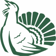 Zum Auerhahn Logo