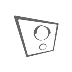Geblitzt Logo