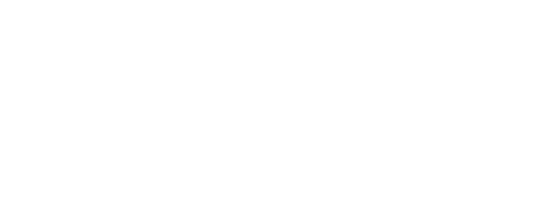 Geckota Logo